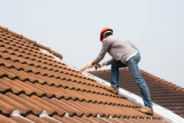 Best Emergency Roof Repair Services  in Carrboro, NC
